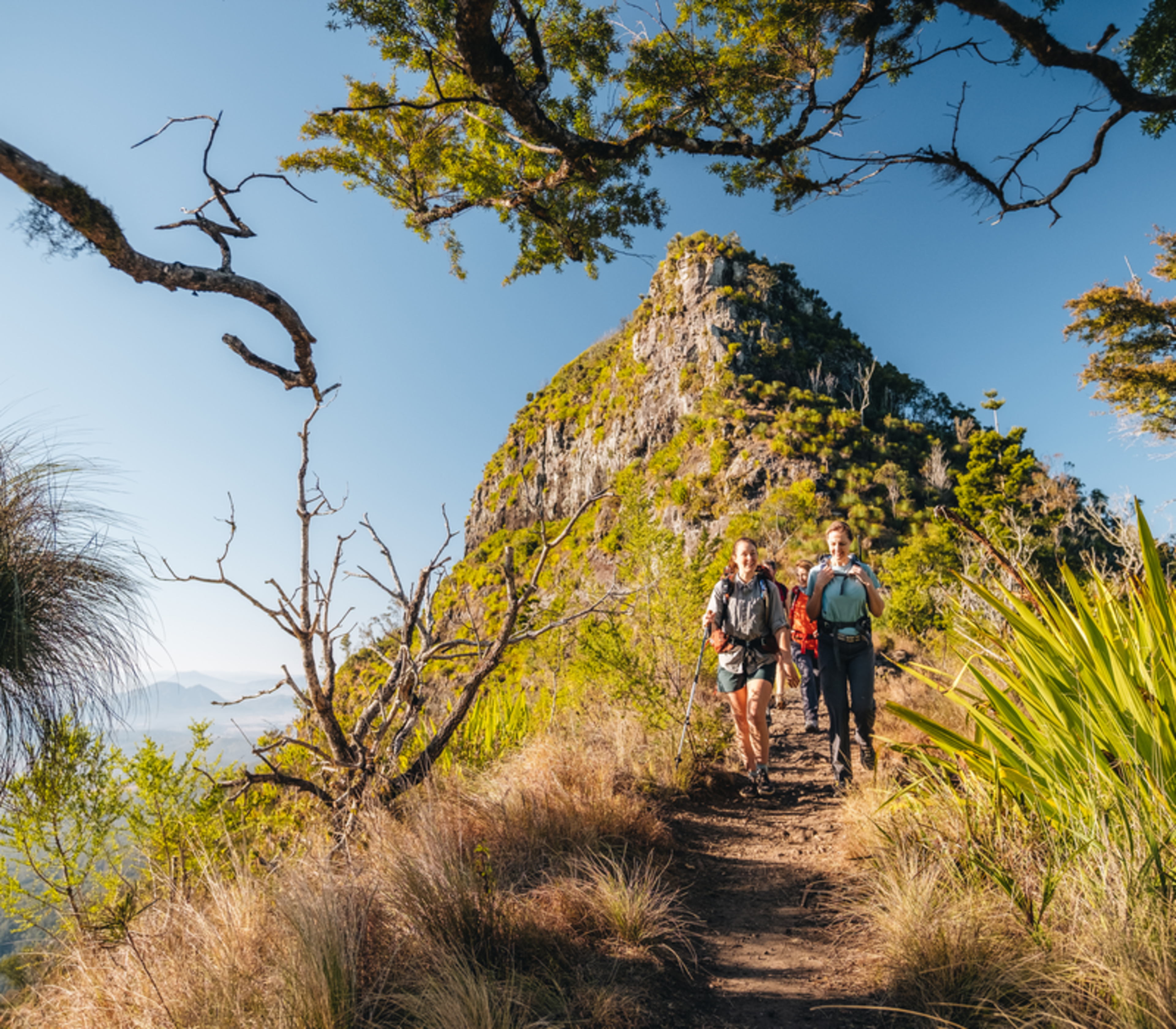 Hikers walking toward the camera on a dusty mountain trail framed by tree branches in the Scenic Rim.