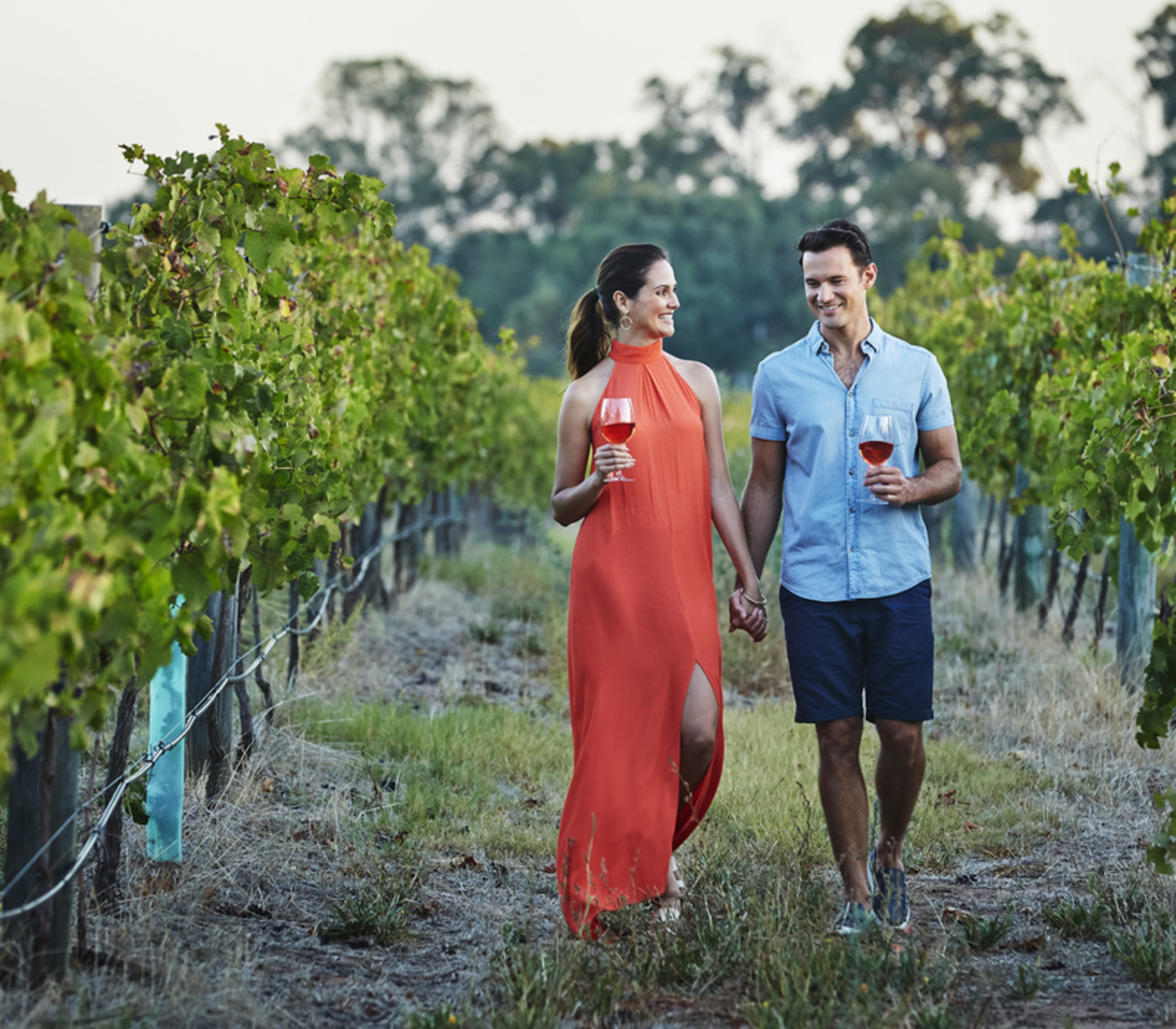 A man and woman walking through rows of grapevines at a winery while holding glasses of rose wine.