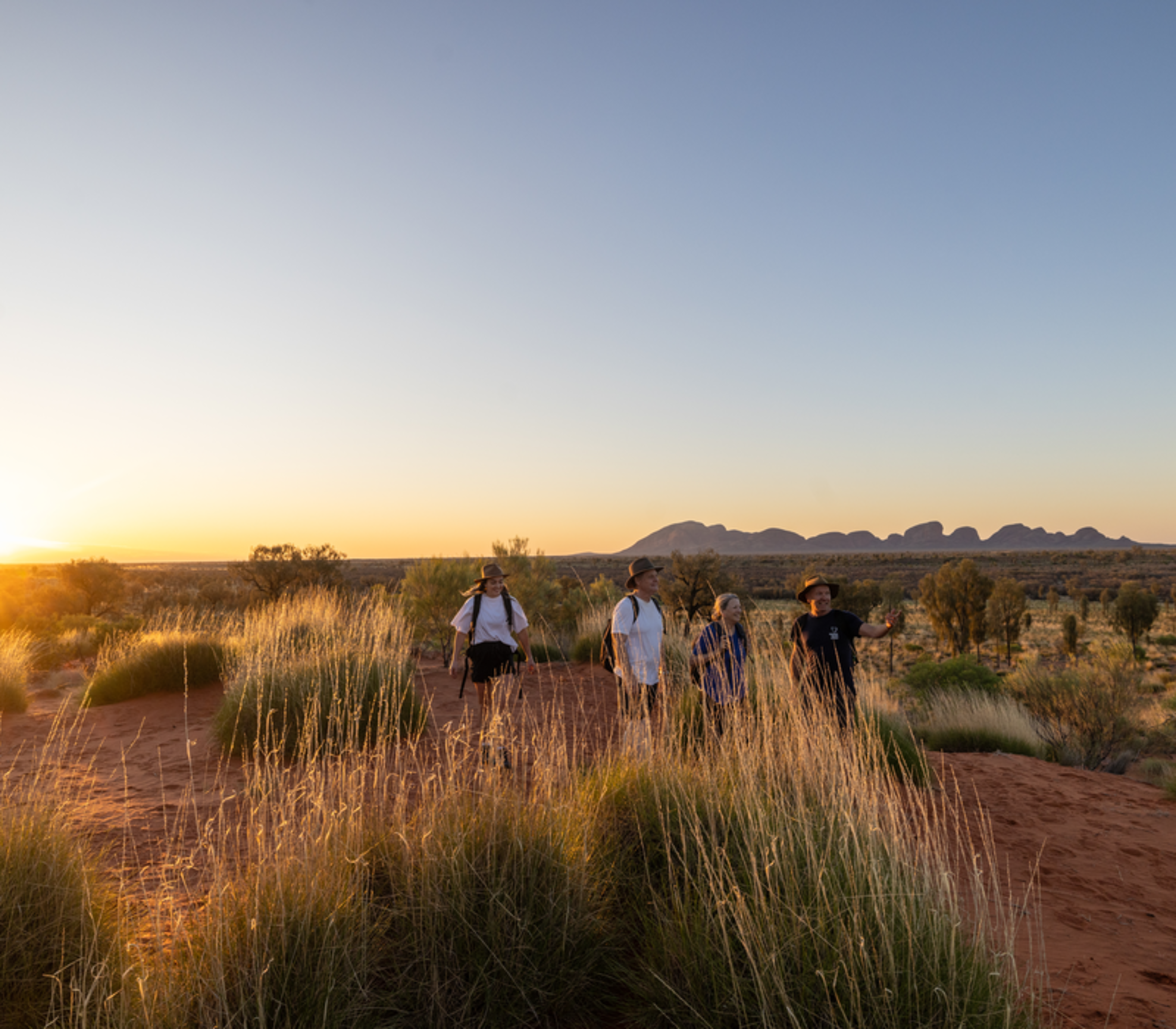 Hikers walking through red sand dunes and tall grass during a golden sunrise with the Olgas in the background.