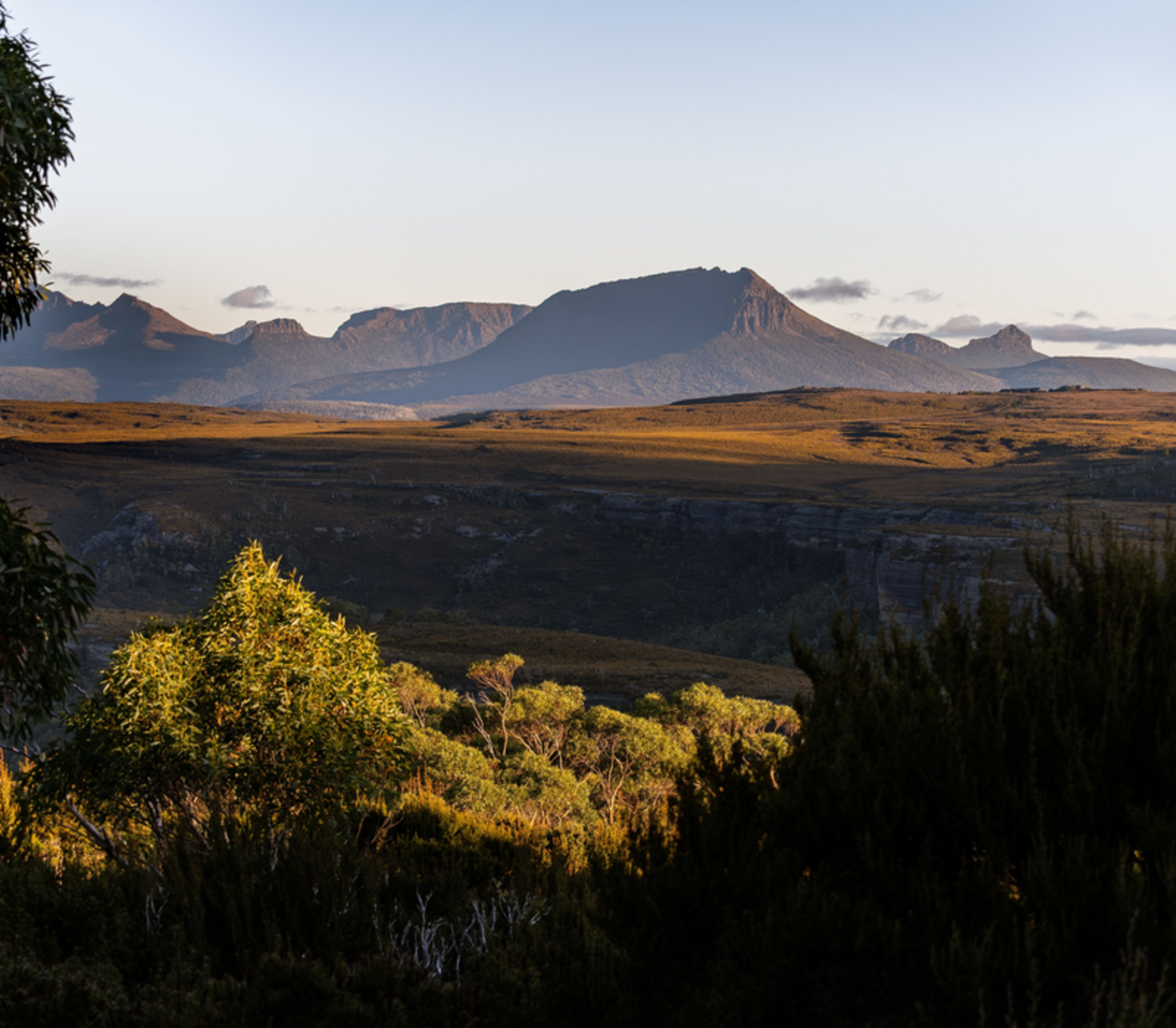 A sweeping evening view across the high-altitude plateau of the Central Highlands, looking toward the distant peaks of the Du Cane and Pelion Ranges. The golden evening light bathes the button grass moorlands, a signature feature of the Tasmanian Wilderne