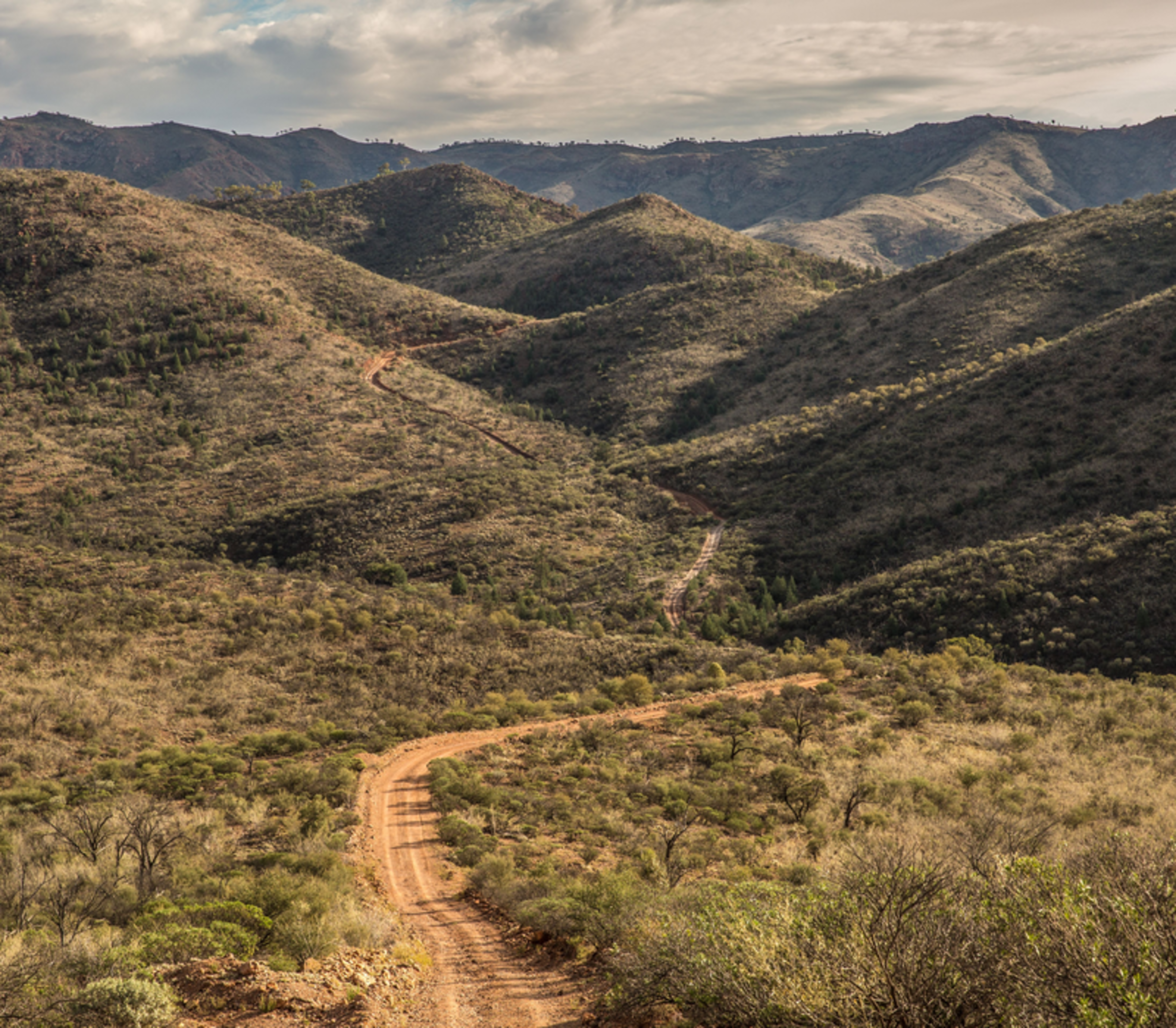 A dusty red unsealed road winding through the semi-arid shrubland and rugged brown hills of the Flinders Ranges under a dramatic cloudy sky in South Australia.
