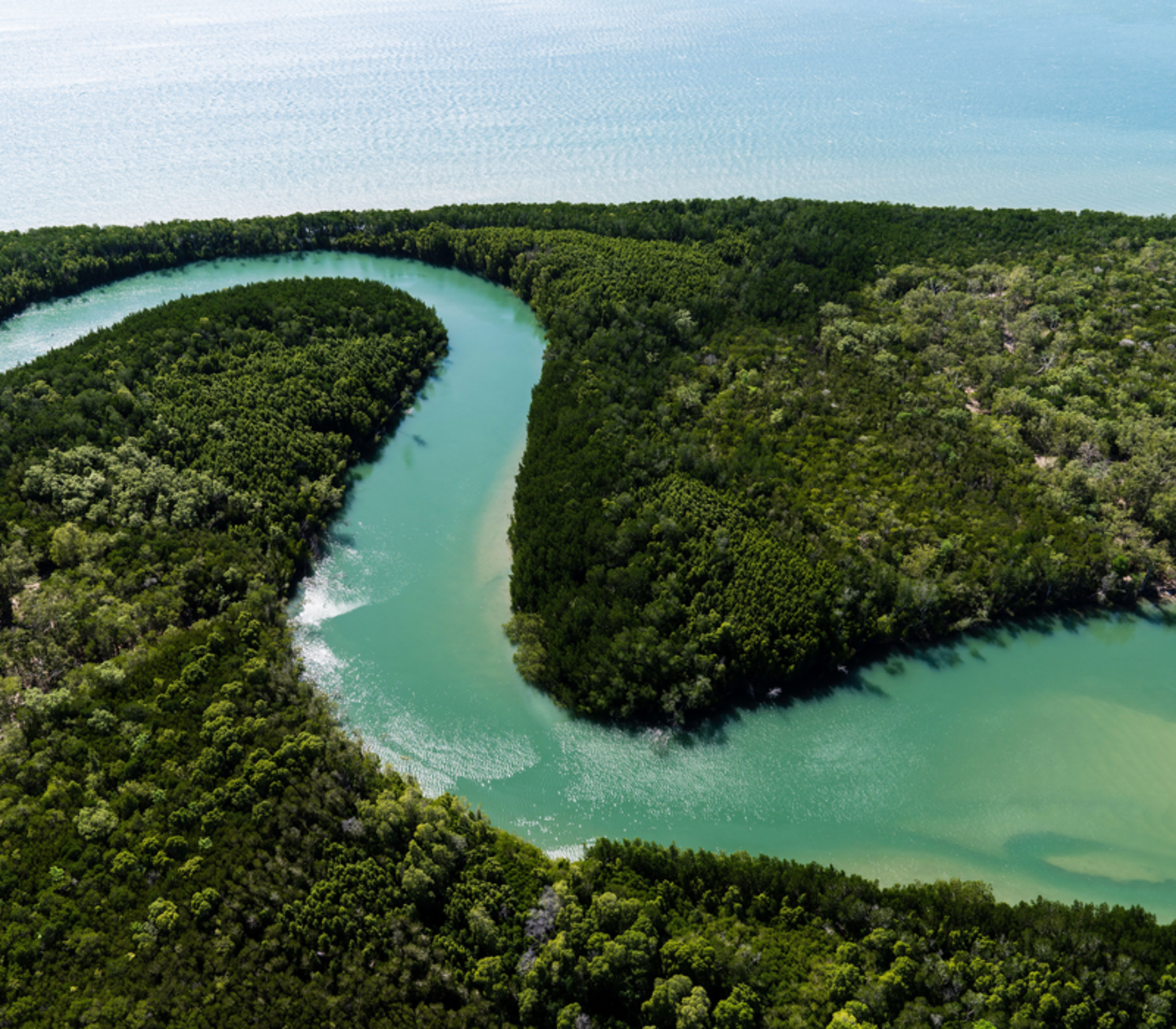 A wide horizontal aerial shot of a vibrant, emerald-green river that curves sharply through a thick, dark green canopy of mangroves. The sparkling blue ocean is visible in the background under bright, clear sunlight.