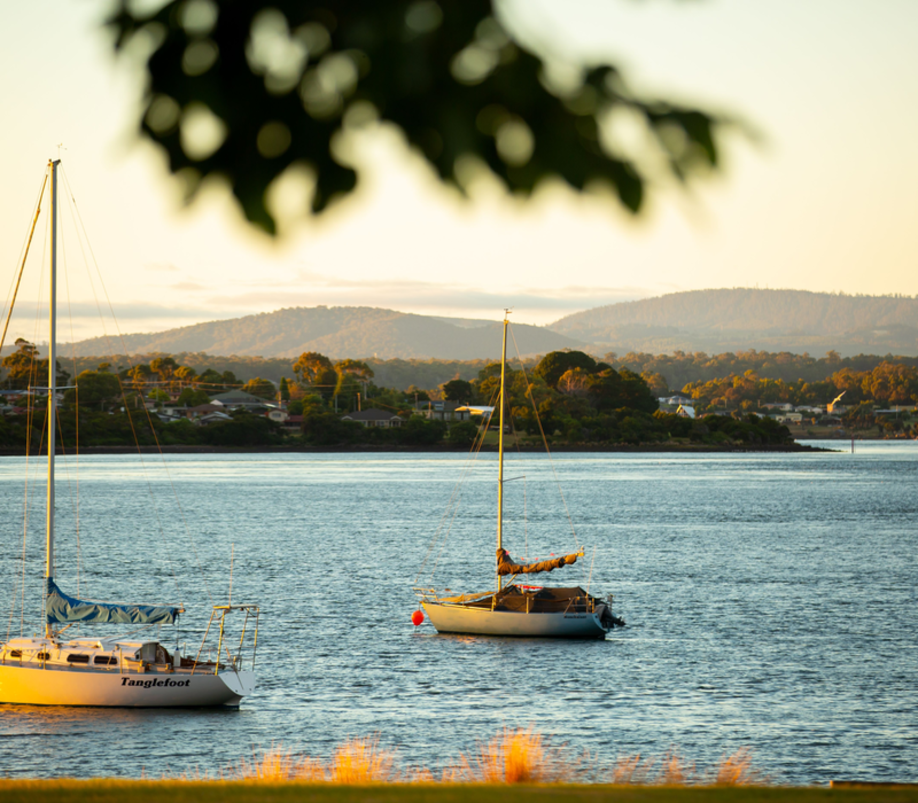Two sailboats, one named "Tanglefoot," anchored on the calm blue waters of the Tamar River during a golden sunset, with the rolling hills and houses of the Tamar Valley in the background.