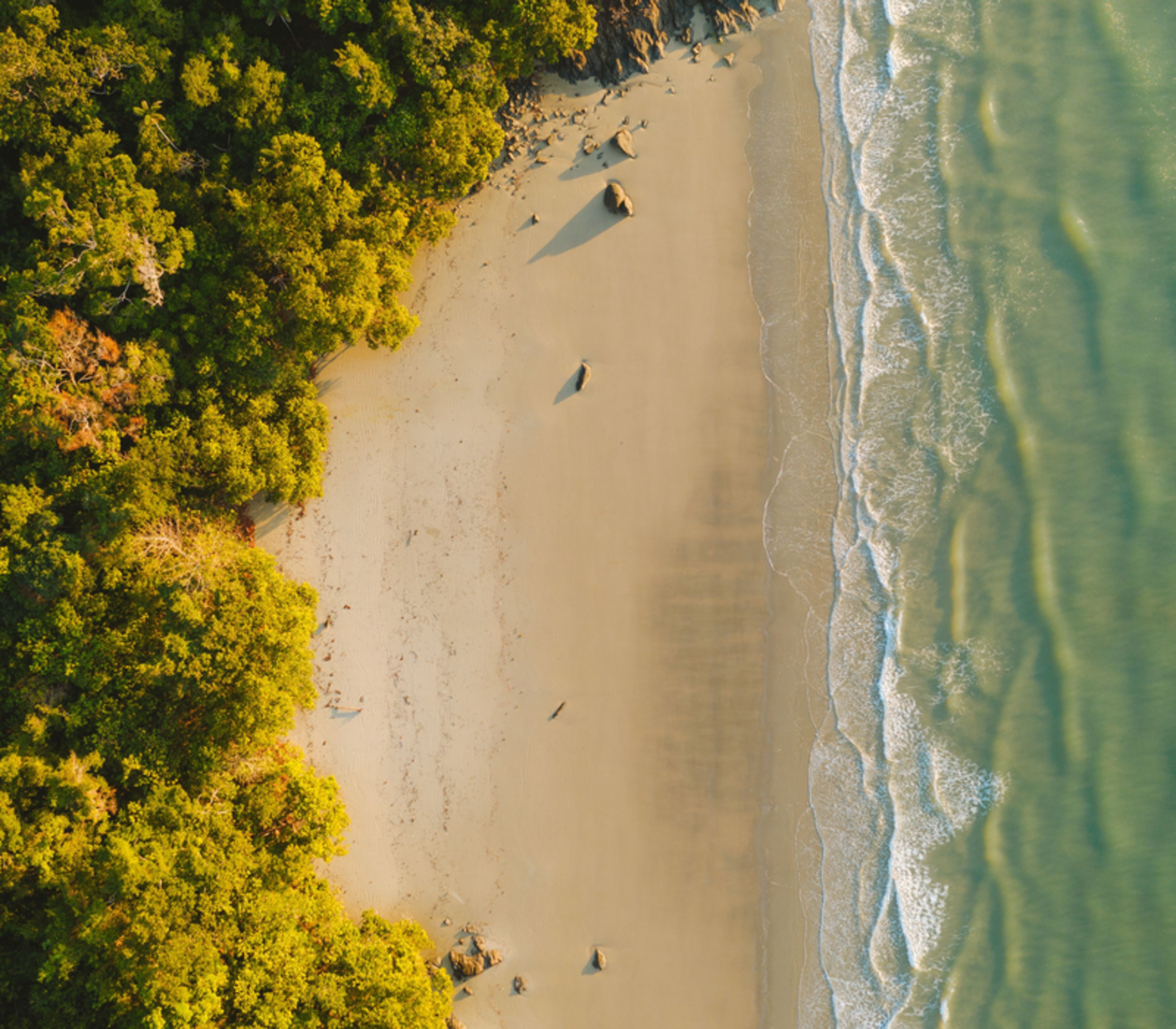Looking straight down from above at Noah Beach, where the golden light of the afternoon sun highlights the bright green rainforest canopy and the rippled wet sand of the shoreline.