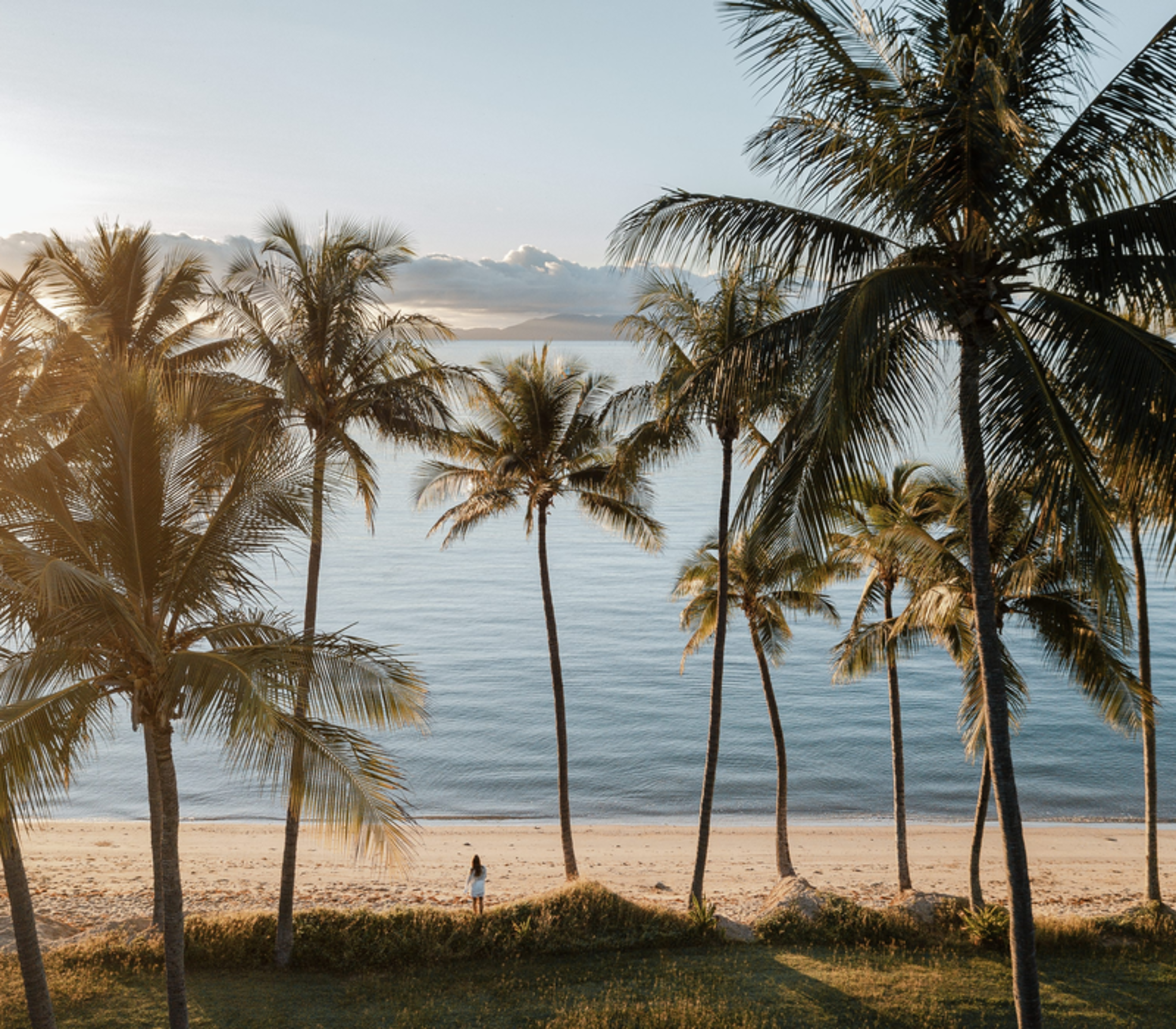 The golden morning sun shines through a row of tall palm trees on a quiet sandy beach on Magnetic Island, looking out toward a calm, hazy ocean.
