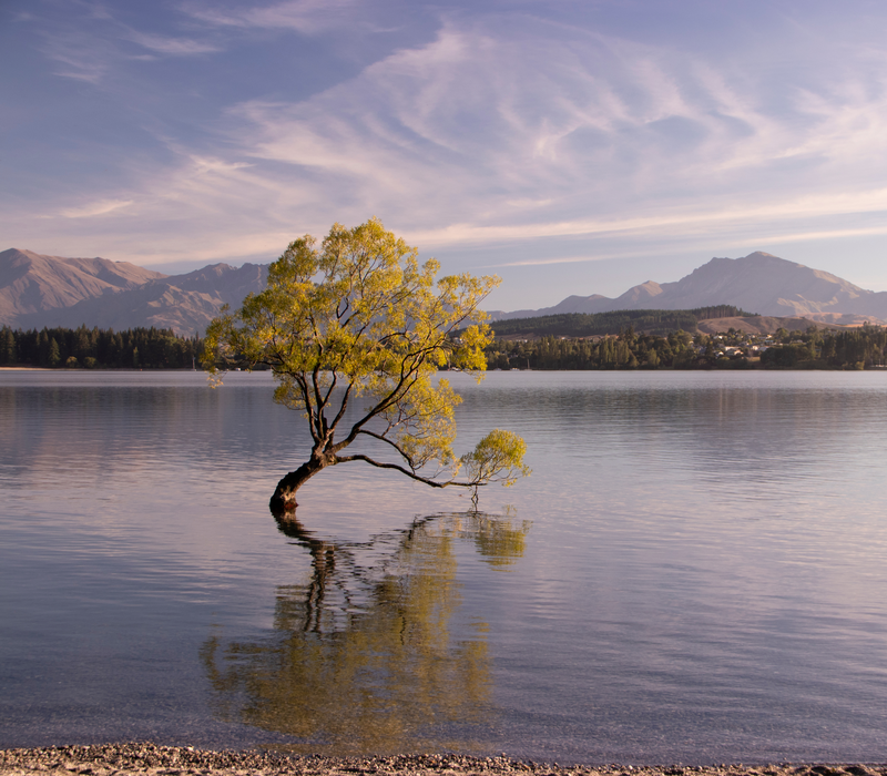 South Island Snow & Soak Package