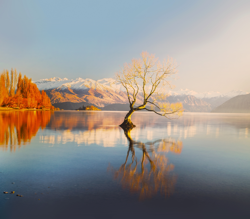 Highlights of the South Island Tour
