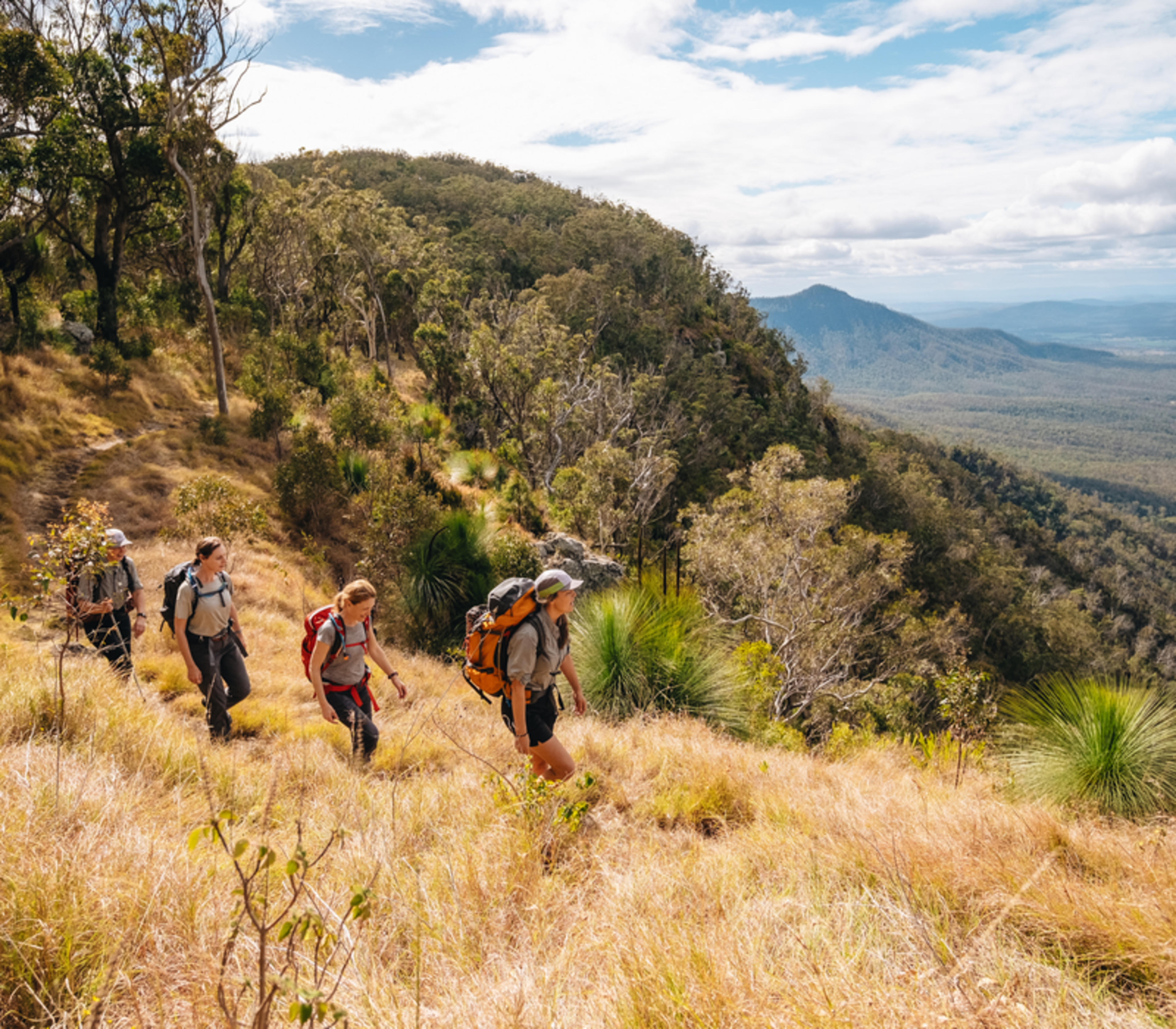 Five hikers walking along a high grassy mountain ridge with views of a vast valley in the Scenic Rim.