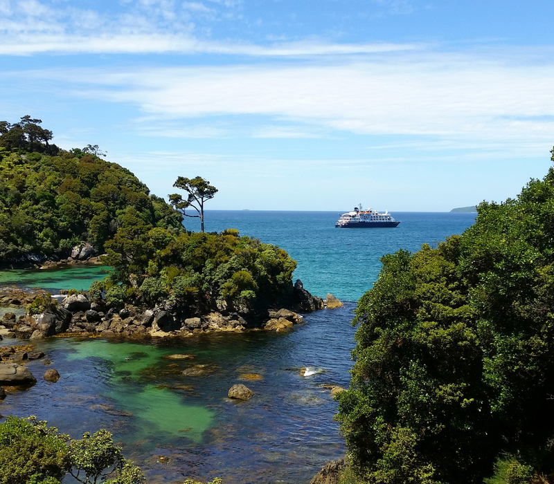 Southern South Island Highlights With Stewart Island