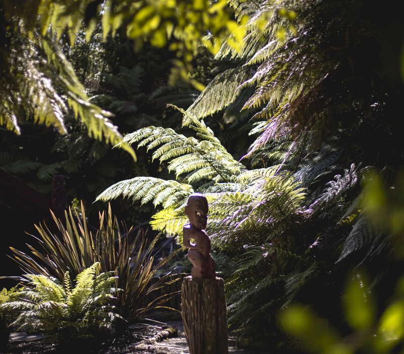 Escape to Rotorua