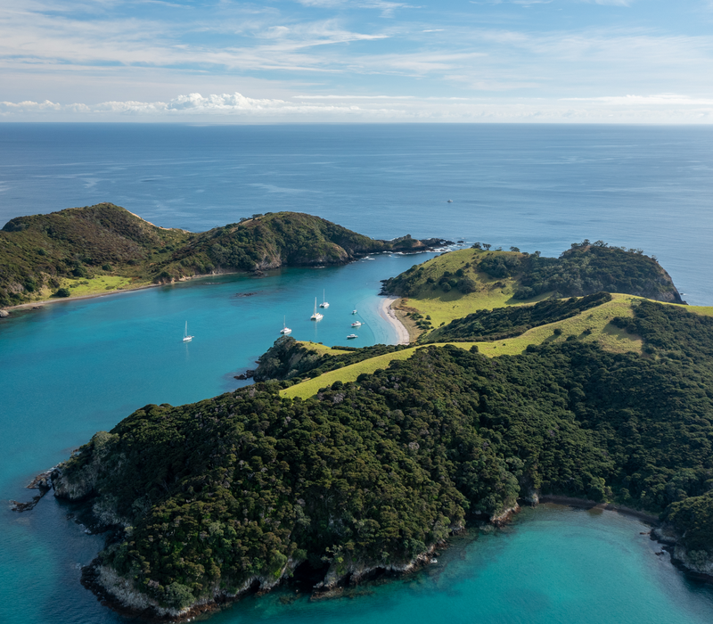 The Essential North Island Tour