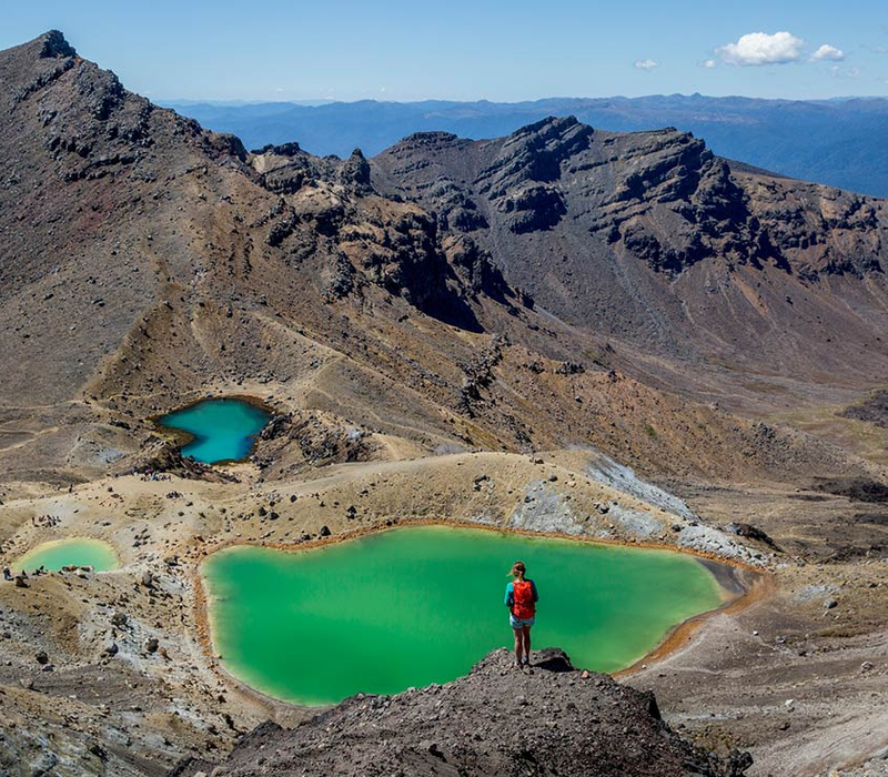 Intrepid Travel: New Zealand Northern Trail (Southbound)