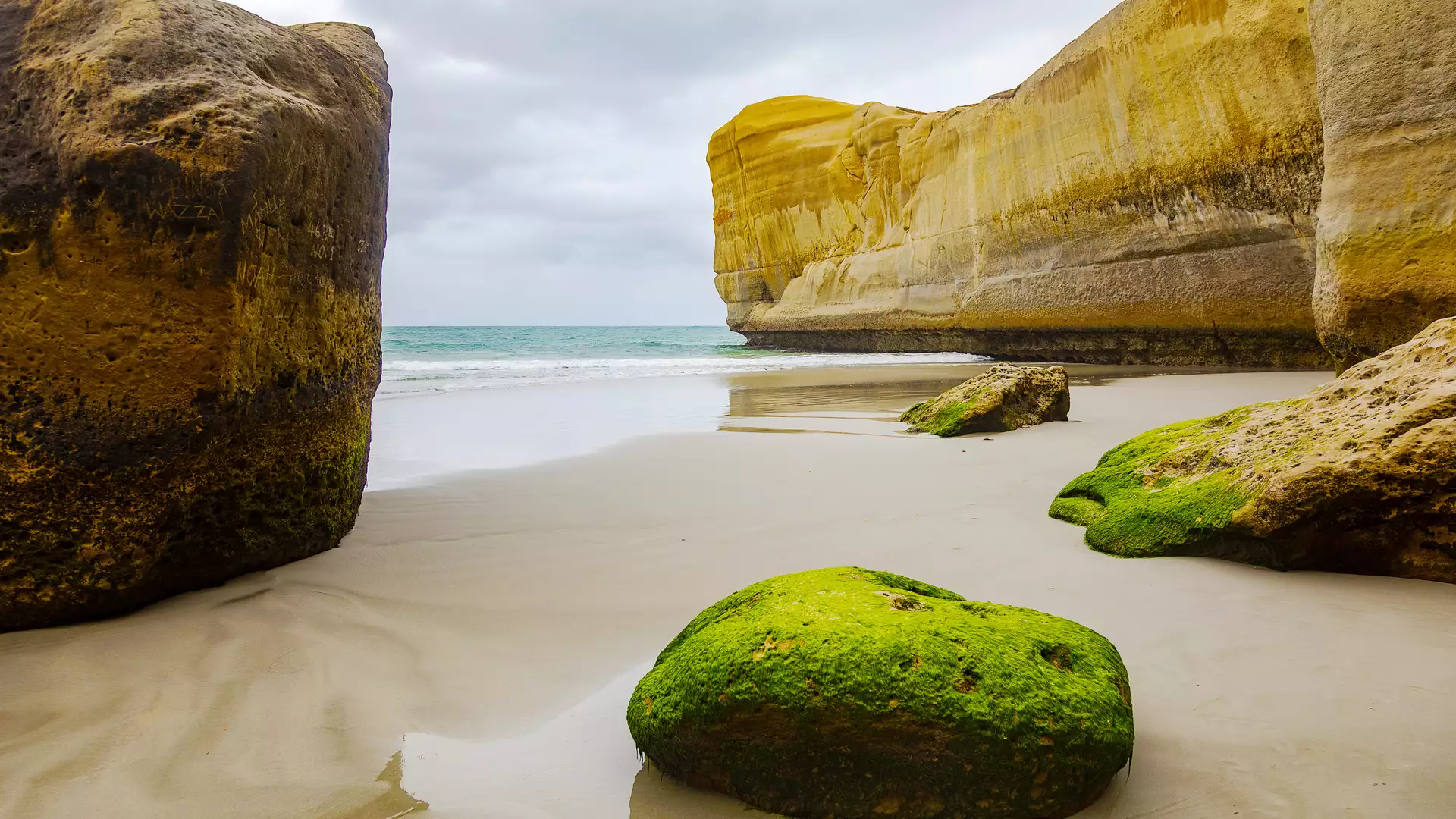Bright green moss-covered boulders sit on a white sandy beach framed by towering yellow sandstone cliffs at Tunnel Beach, Dunedin. Credit: Fine Tours Group Main Image