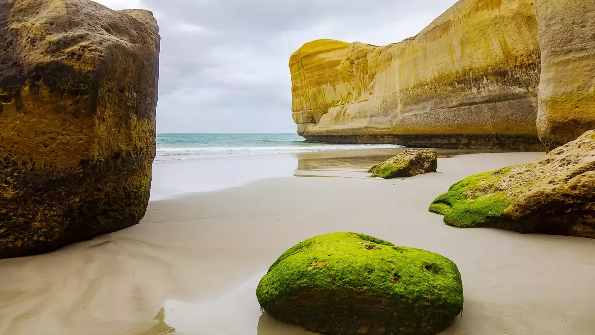 Bright green moss-covered boulders sit on a white sandy beach framed by towering yellow sandstone cliffs at Tunnel Beach, Dunedin. Main Image
