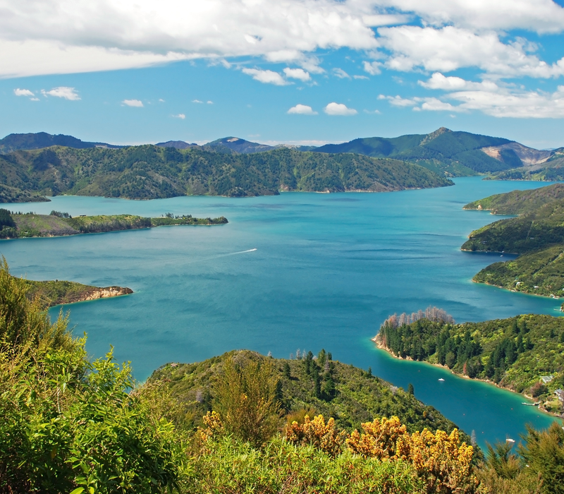 Top of the South Island National Parks
