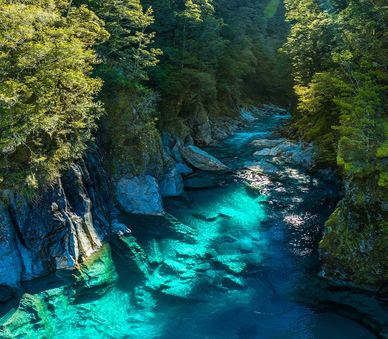 Intrepid Travel: New Zealand West Coast Adventure