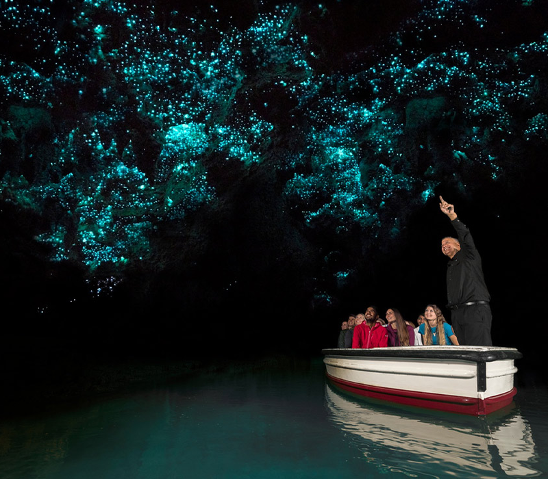 Intrepid Travel: New Zealand Uncovered (Northbound)