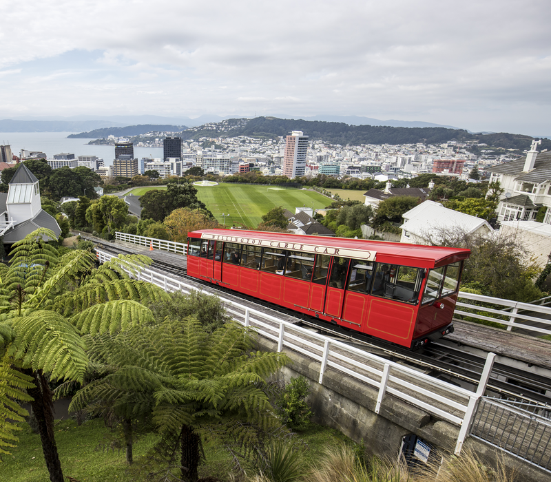 North Island Escape