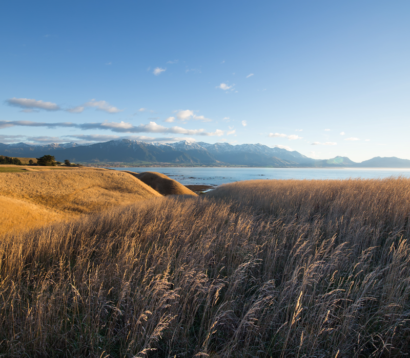The Southern Crest and Coastlines Tour