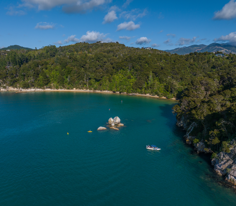 New Zealand Odyssey