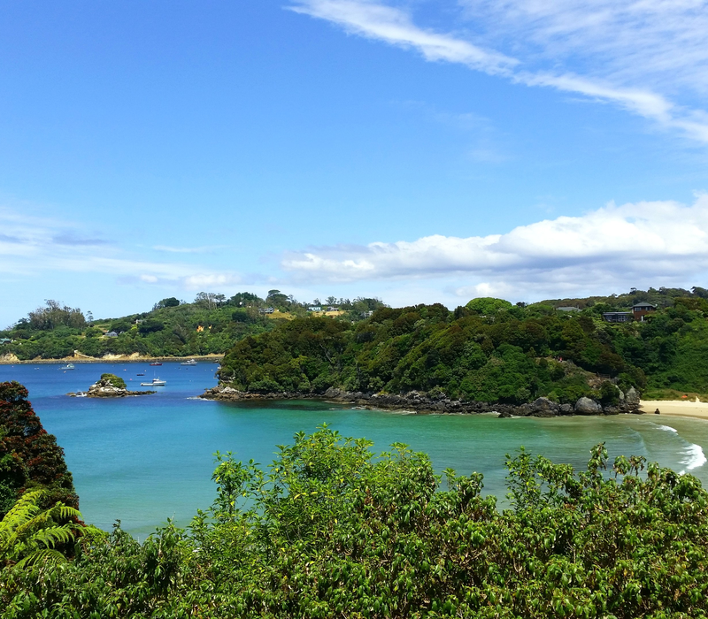 Southern Coast and Stewart Island Nature Tour