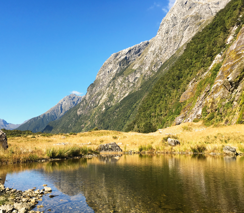Southern Highlights & Milford Track Guided Walk