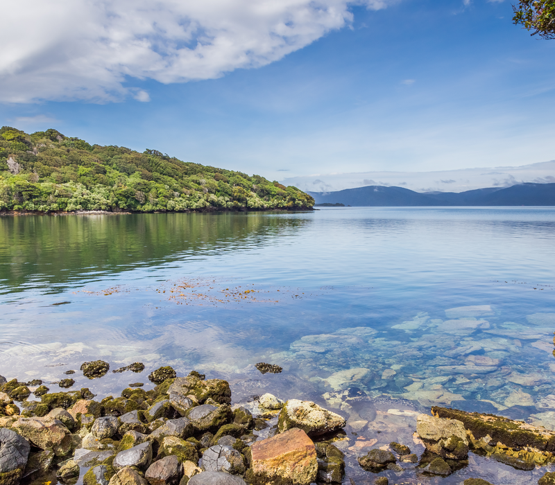 Southern Coast and Stewart Island Nature Tour