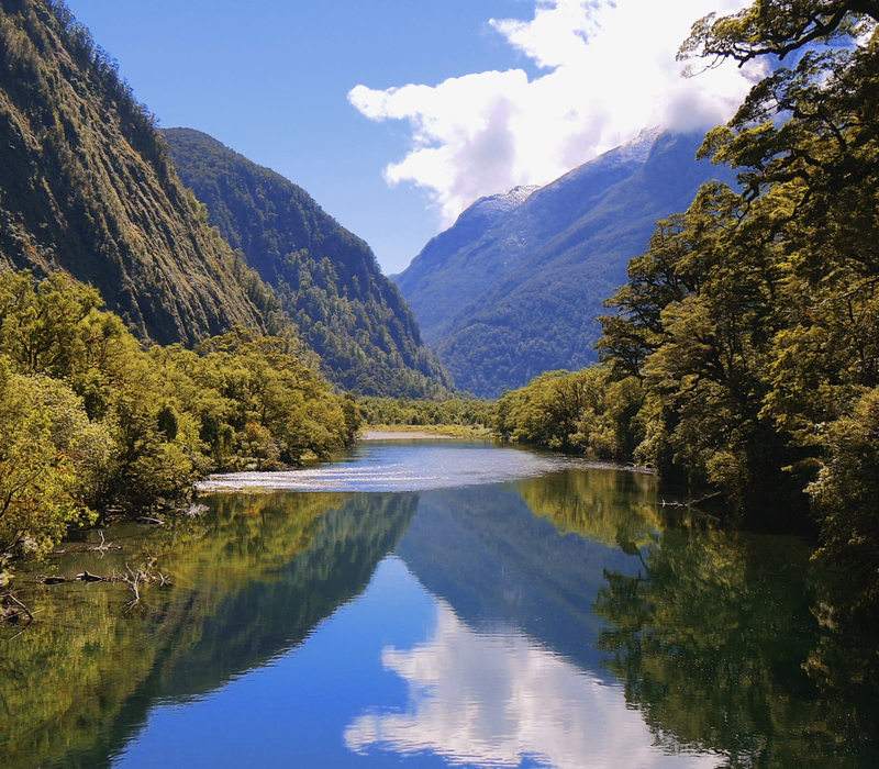 Southern Highlights and Milford Track Great Walk