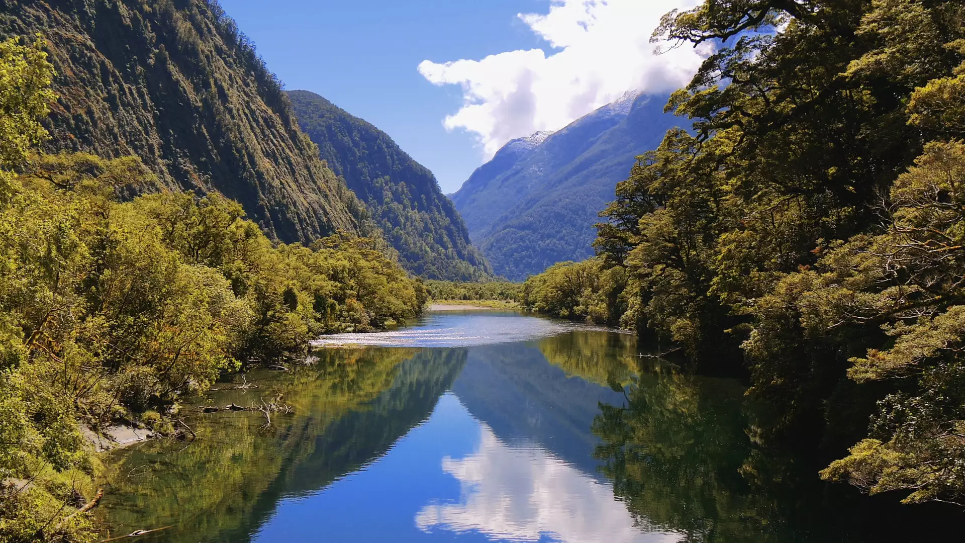 Mountain and forest with river reflecting sky on Milford Track Credit: Fine Tours Group Main Image